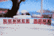 holiday-in-alabania-with-a-flight-from-sofia_6798cb71565d9wtd.jpg