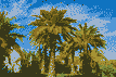 new-year-in-tunisia-with-a-flight-from-plovdiv_68a5a972e47a5s2e.jpg
